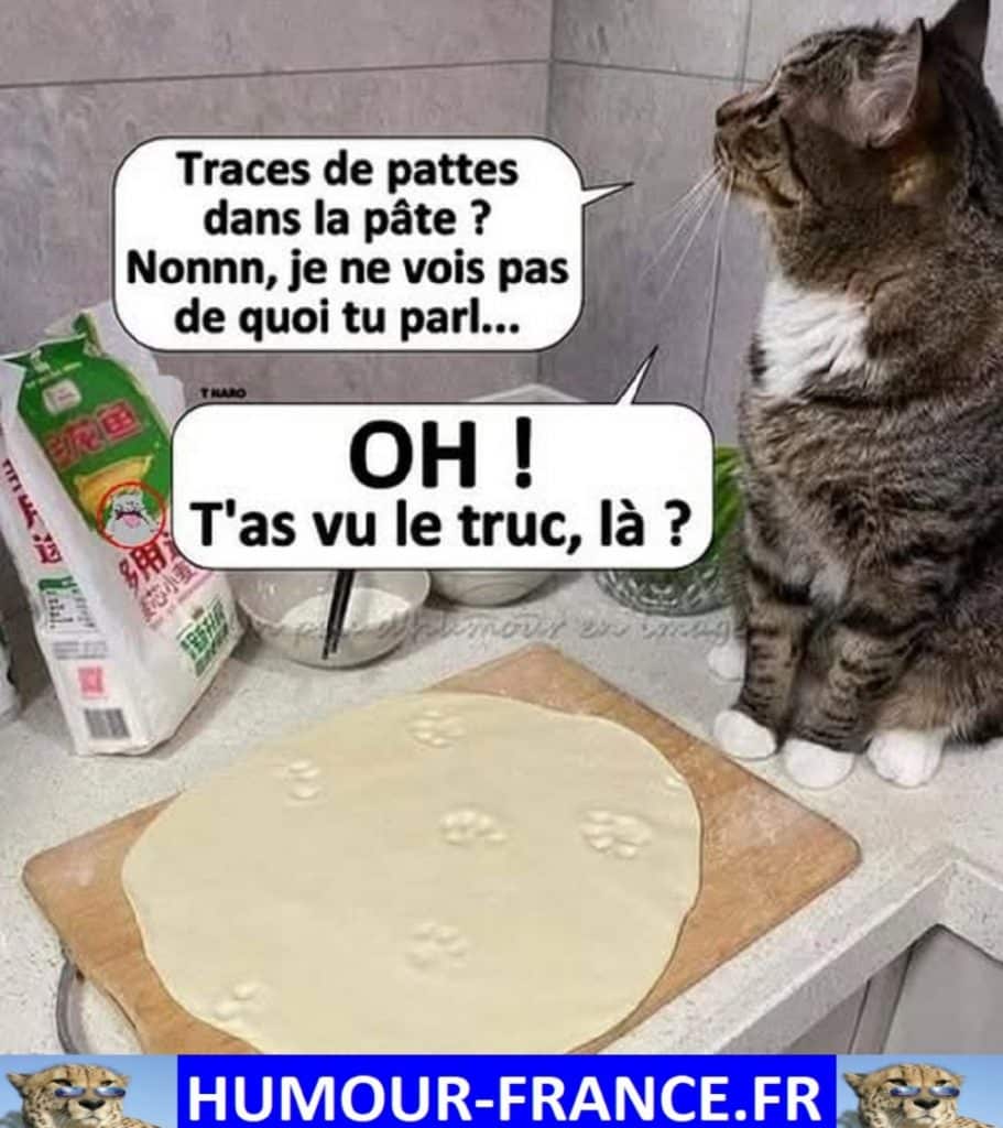 Traces de pattes dans la p&acirc;te ?