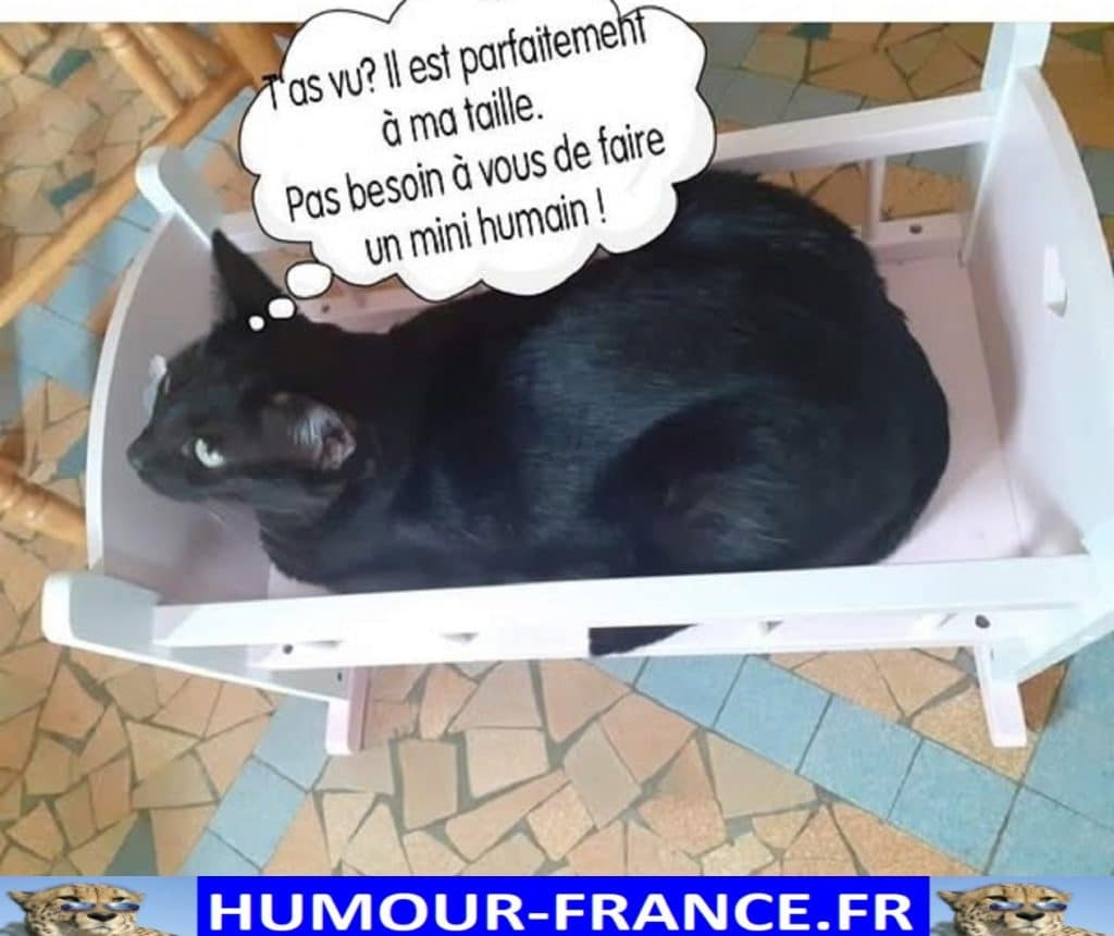 Tu as vu Il est parfaitement &agrave; ma taille. Pas besoin &agrave; vous de faire un mini humain !