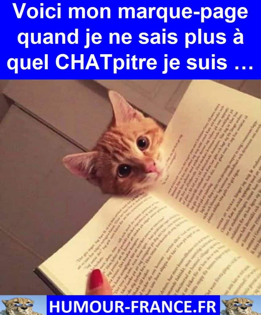 Voici mon marque-page quand je ne sais plus &agrave; quel CHATpitre je suis &hellip;