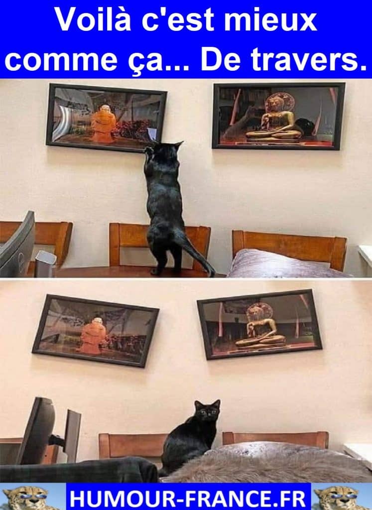 Voilà c'est mieux comme ça… De travers.