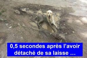 0,5 secondes après l’avoir détaché de sa laisse …