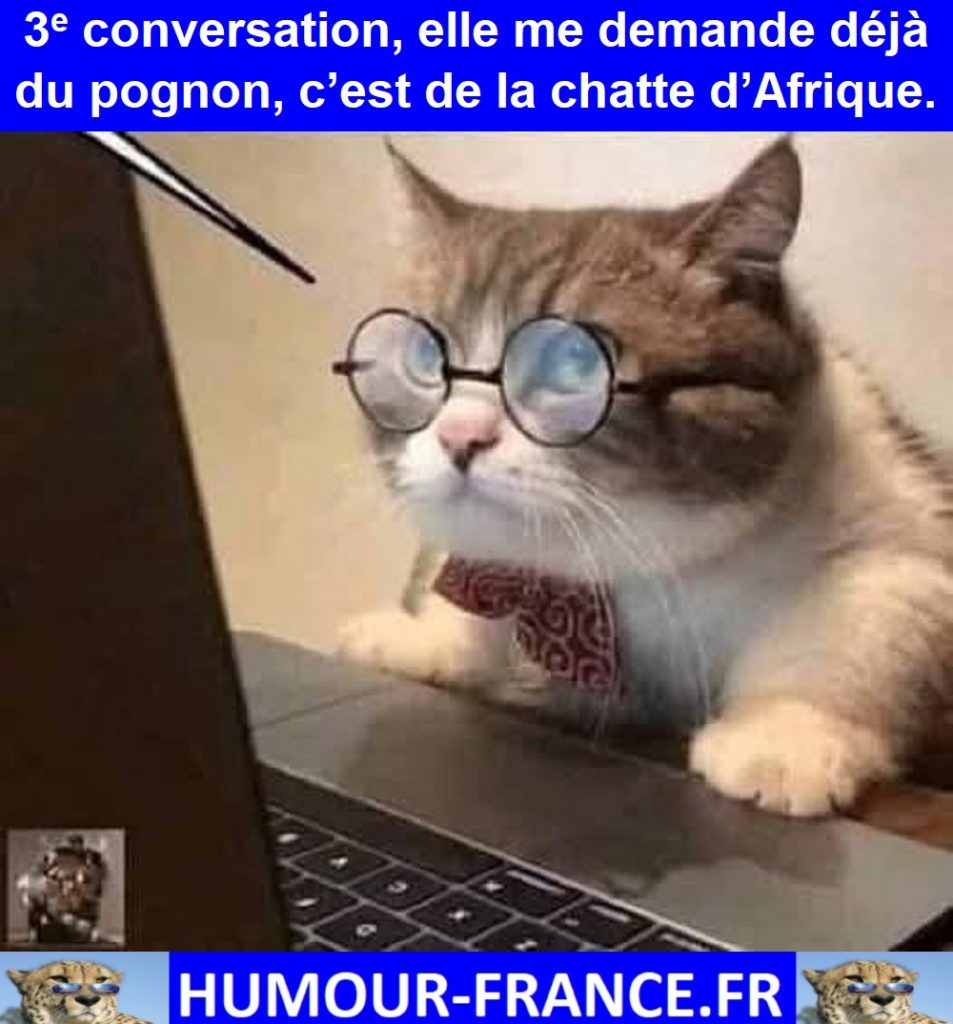 3e conversation, elle me demande déjà du pognon, c’est de la chatte d’Afrique.
