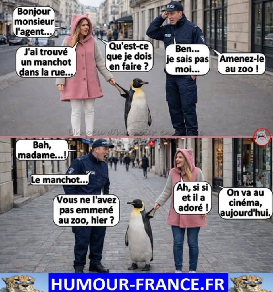 Bonjour monsieur l’agent … J’ai trouvé un manchot dans la rue …