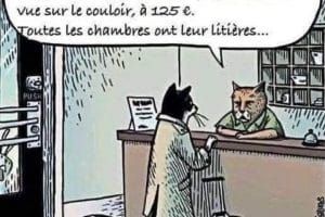 Il ne reste qu’une boîte en carton, à 30€ ou un panier à linge à 65€ …