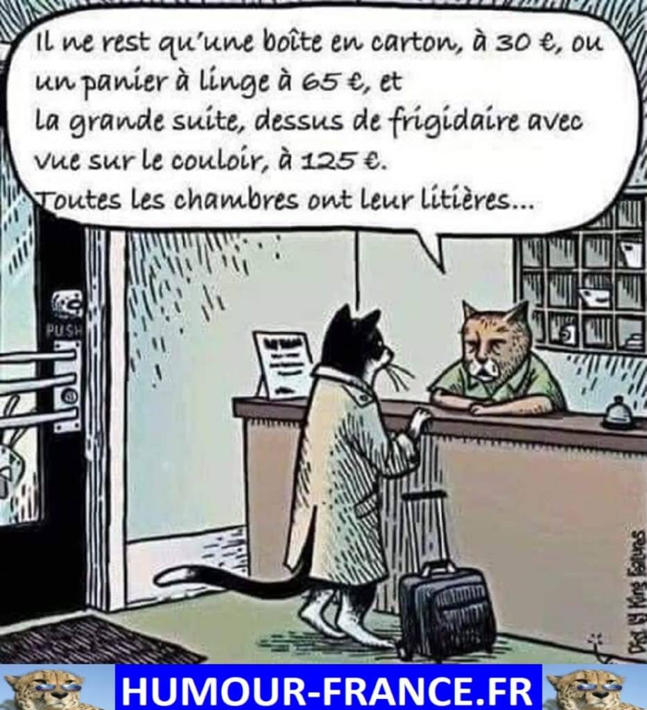 Il ne reste qu’une boîte en carton, à 30€ ou un panier à linge à 65€ …