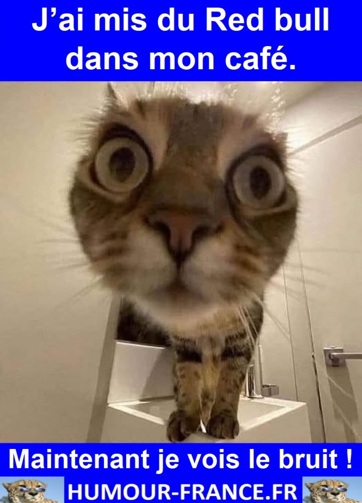 J’ai mis du Red bull dans mon café.