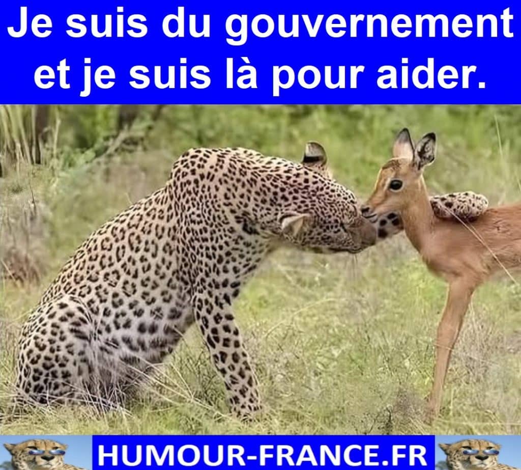 Je suis du gouvernement et je suis là pour aider.