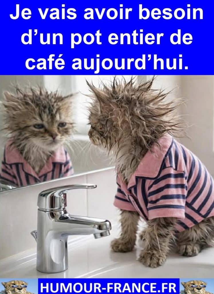 Je vais avoir besoin d’un pot entier de café aujourd’hui.