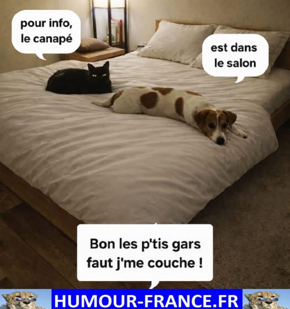 Pour info le canapé est dans le salon.