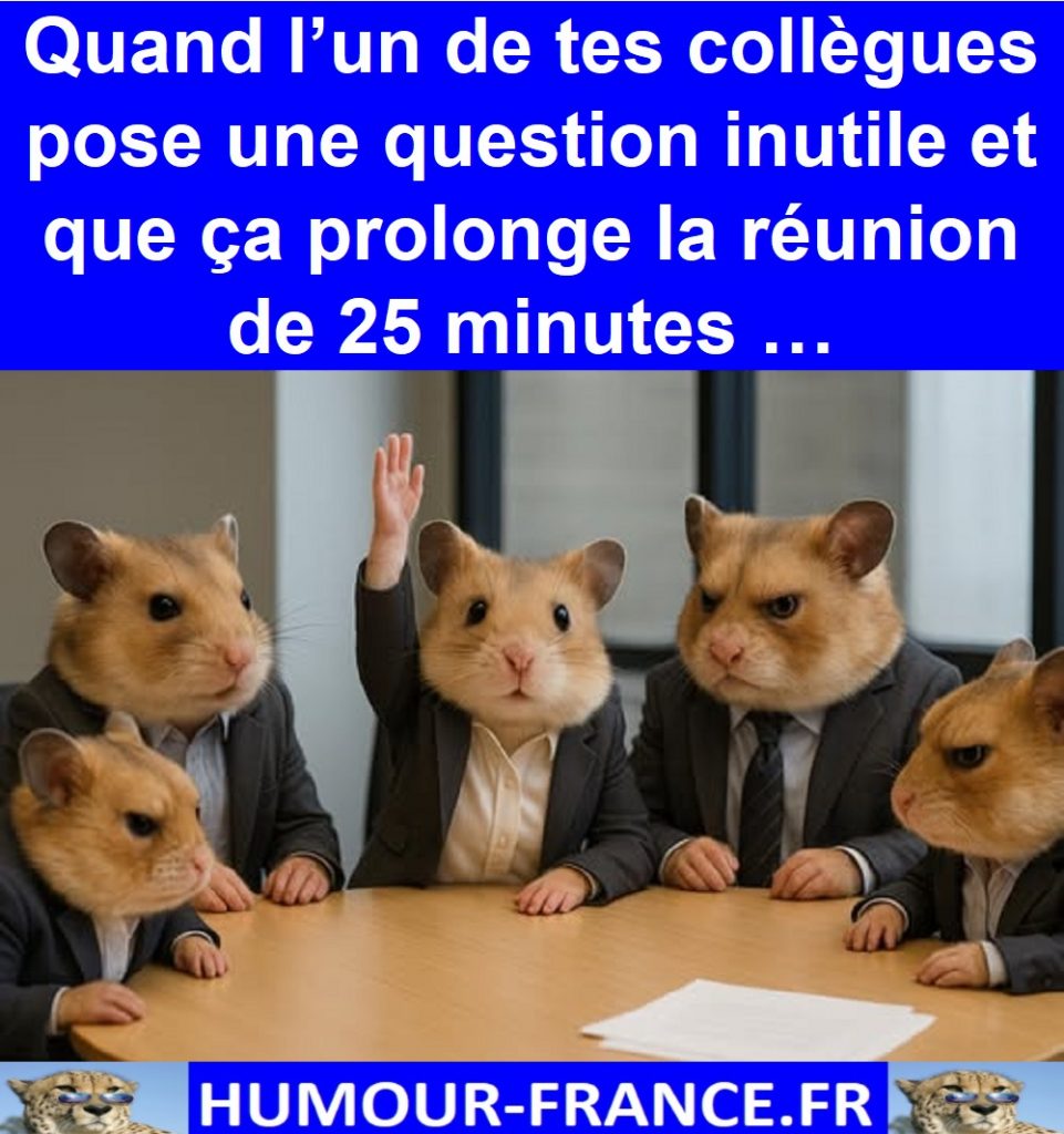 Quand l’un de tes collègues pose une question inutile et que ça prolonge la réunion de 25 minutes …