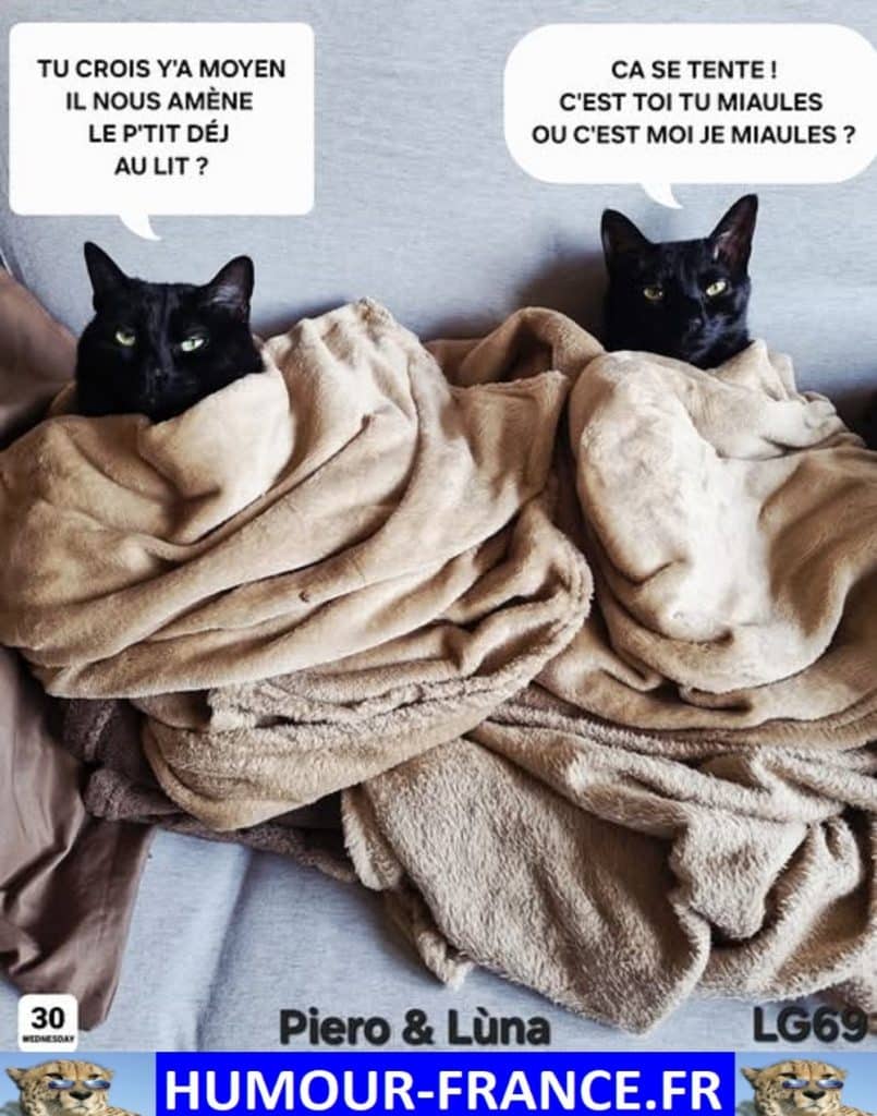 Tu crois y’a moyen il nous amène le petit déj au lit ?