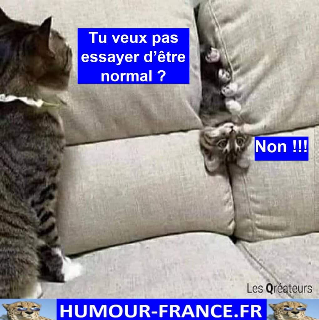 Tu veux pas essayer d’être normal ?