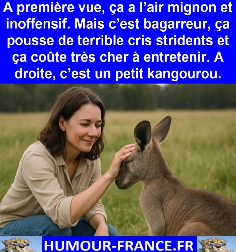 A première vue, ça a l’air mignon et inoffensif. Mais c’est bagarreur, ça pousse de terrible cris stridents et ça coûte très cher à entretenir.