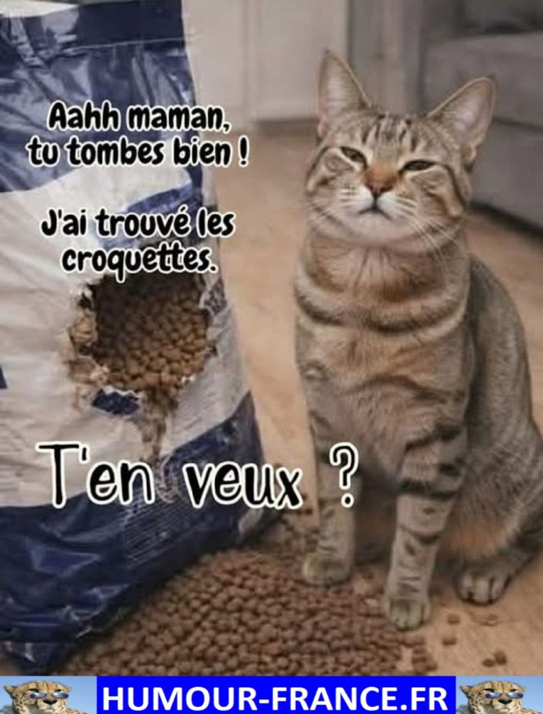 Aahh maman tu tombes bien ! J’ai trouvé les croquettes.