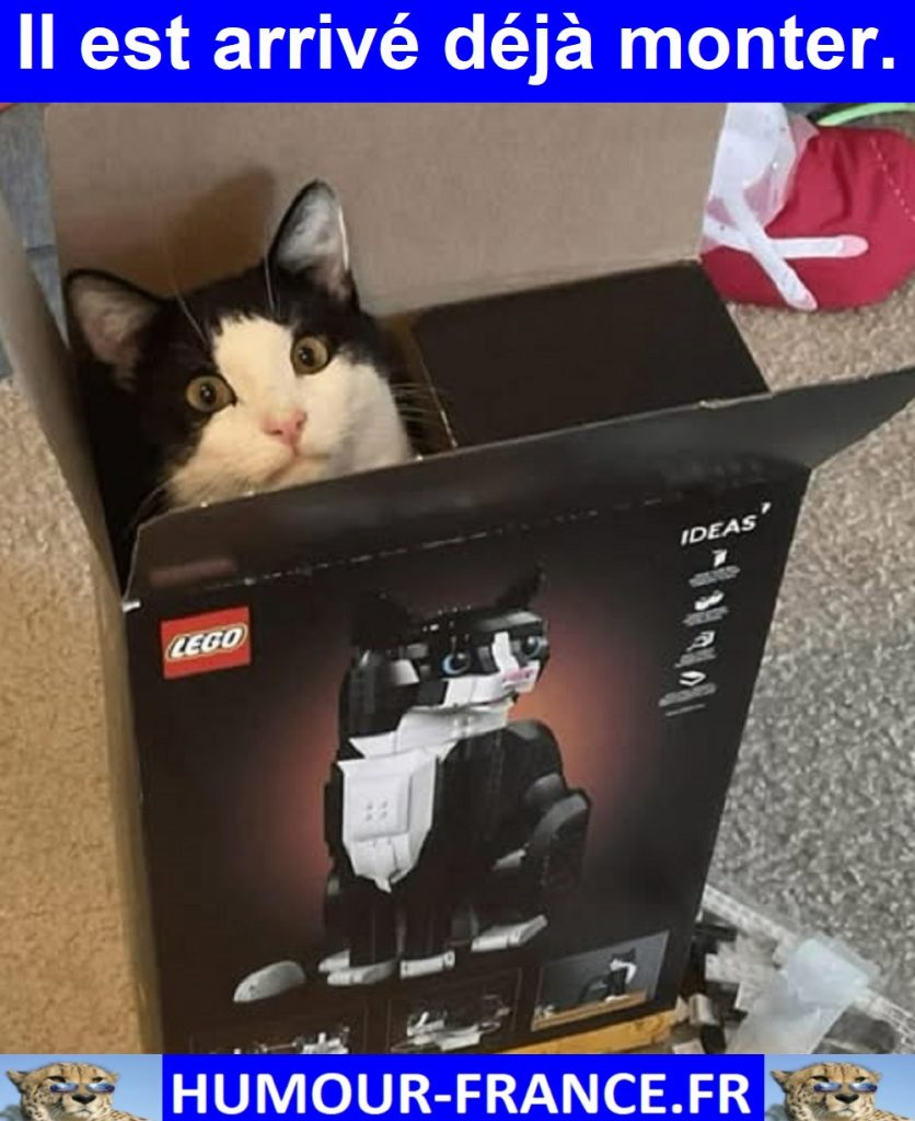 Il est arrivé déjà monter.