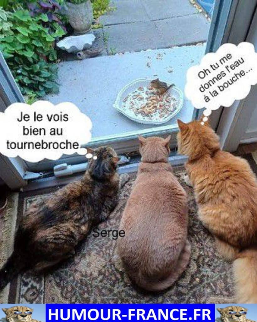 Je le vois bien au tournebroche.