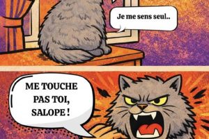 Je m’ennuie … J’ai besoin d’amour ! Je me sens seul.