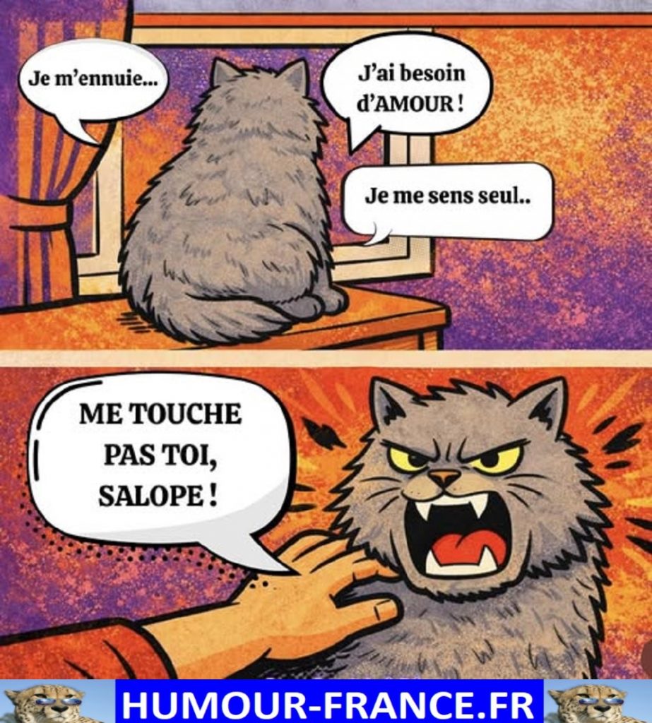 Je m’ennuie … J’ai besoin d’amour ! Je me sens seul.