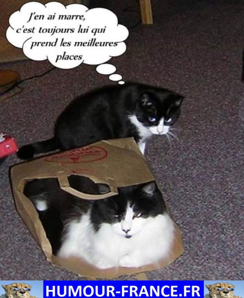 J’en ai marre, c’est toujours lui qui prend les meilleurs places.