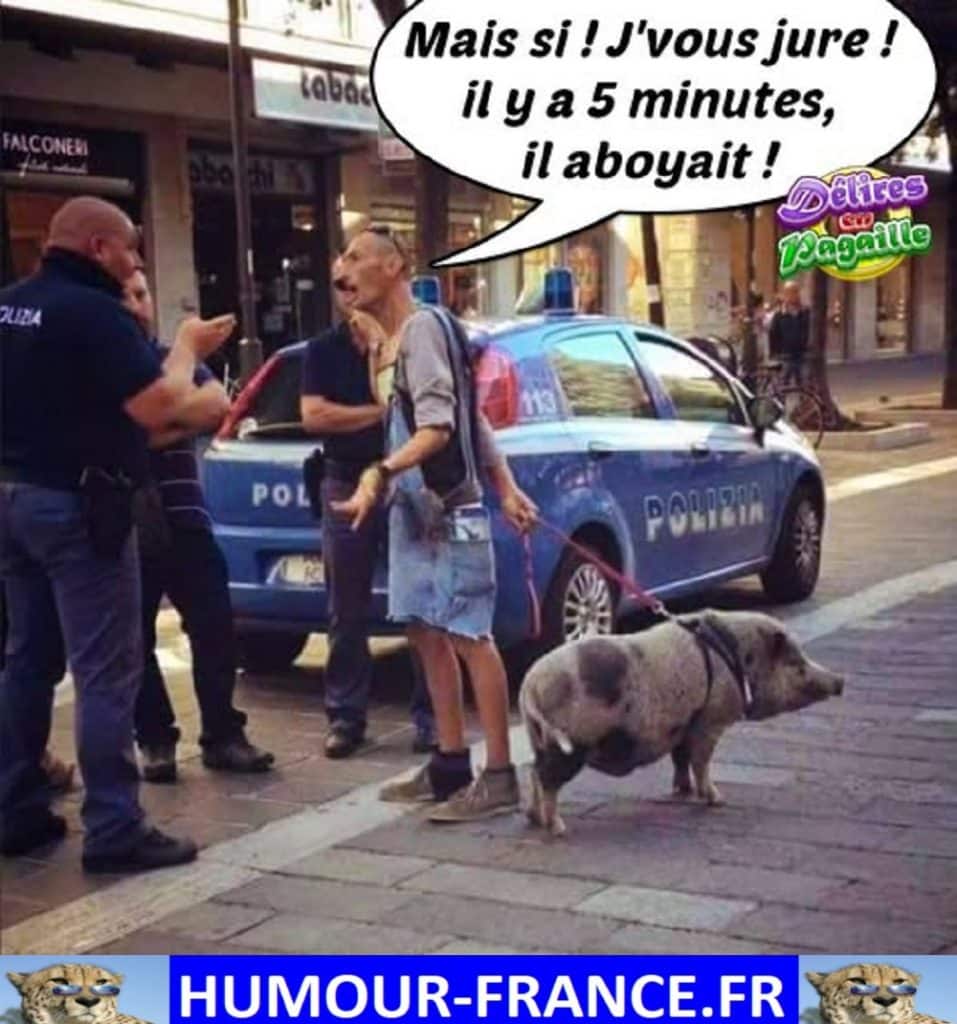 Mais si ! Je vous jure ! Il y a 5 minutes, il aboyait !