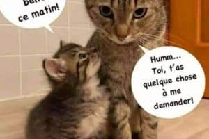 Maman … Tu es trop belle ce matin !