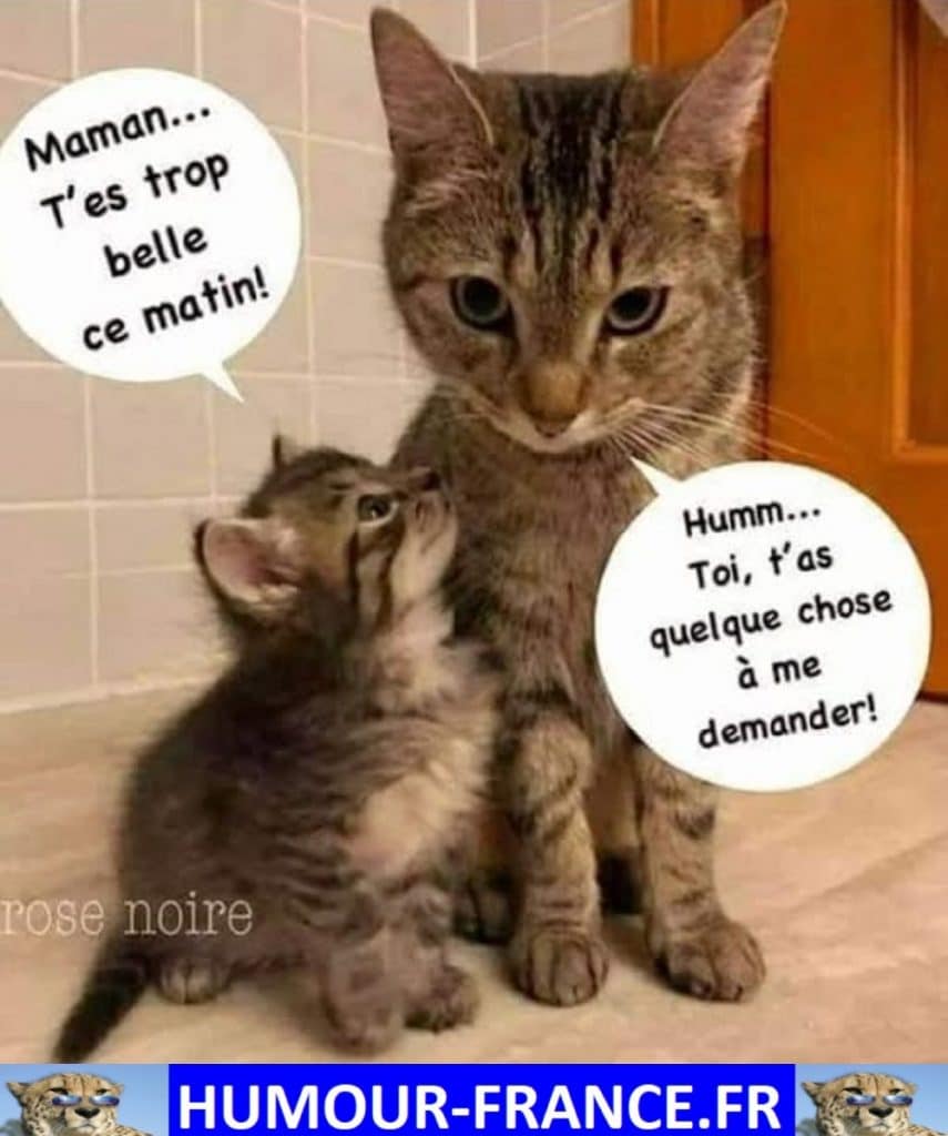 Maman … Tu es trop belle ce matin !