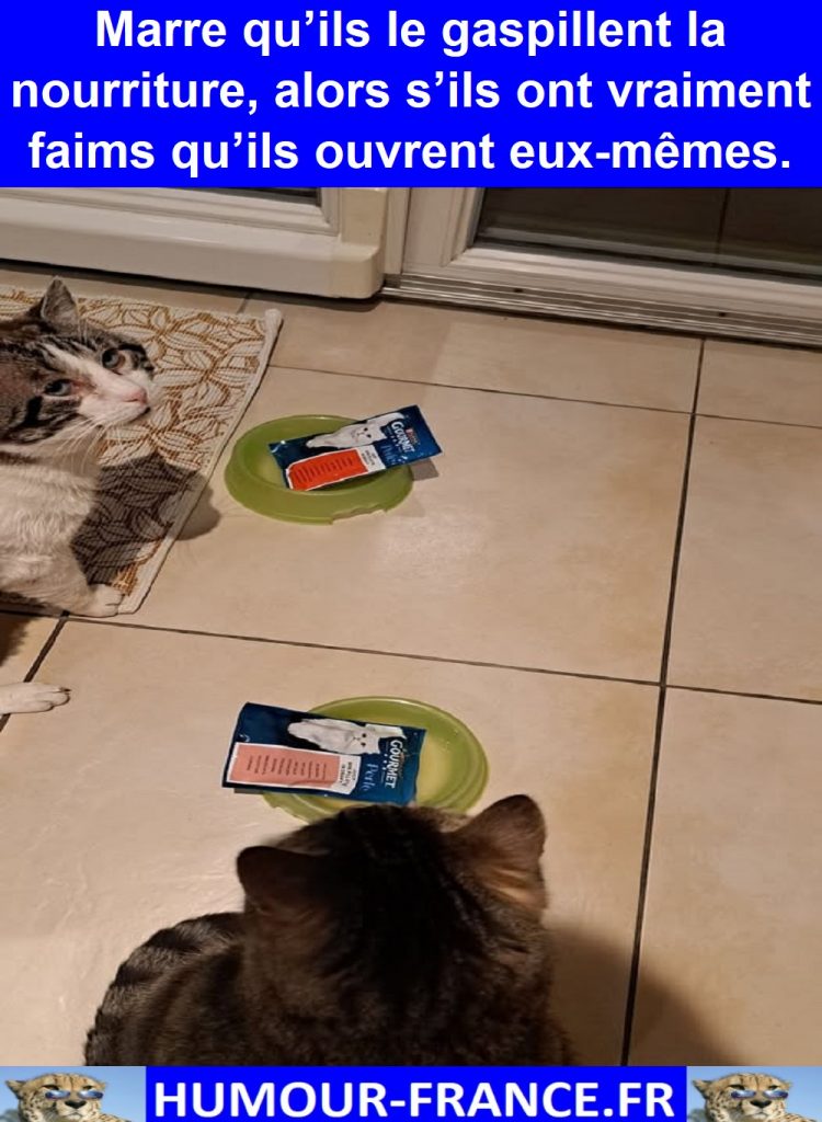 Marre qu’ils le gaspillent la nourriture, alors s’ils ont vraiment faims qu’ils ouvrent eux-mêmes.