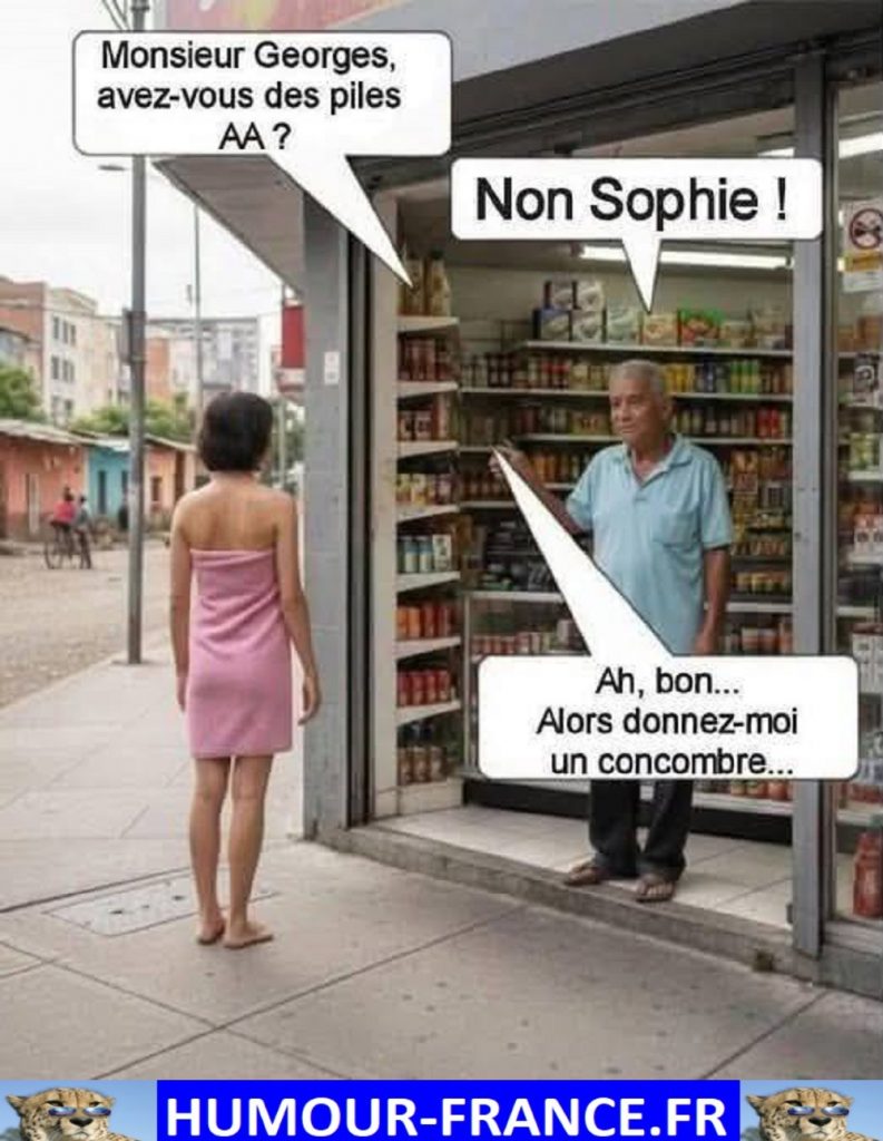 Monsieur Georges, avez-vous des piles AA ?