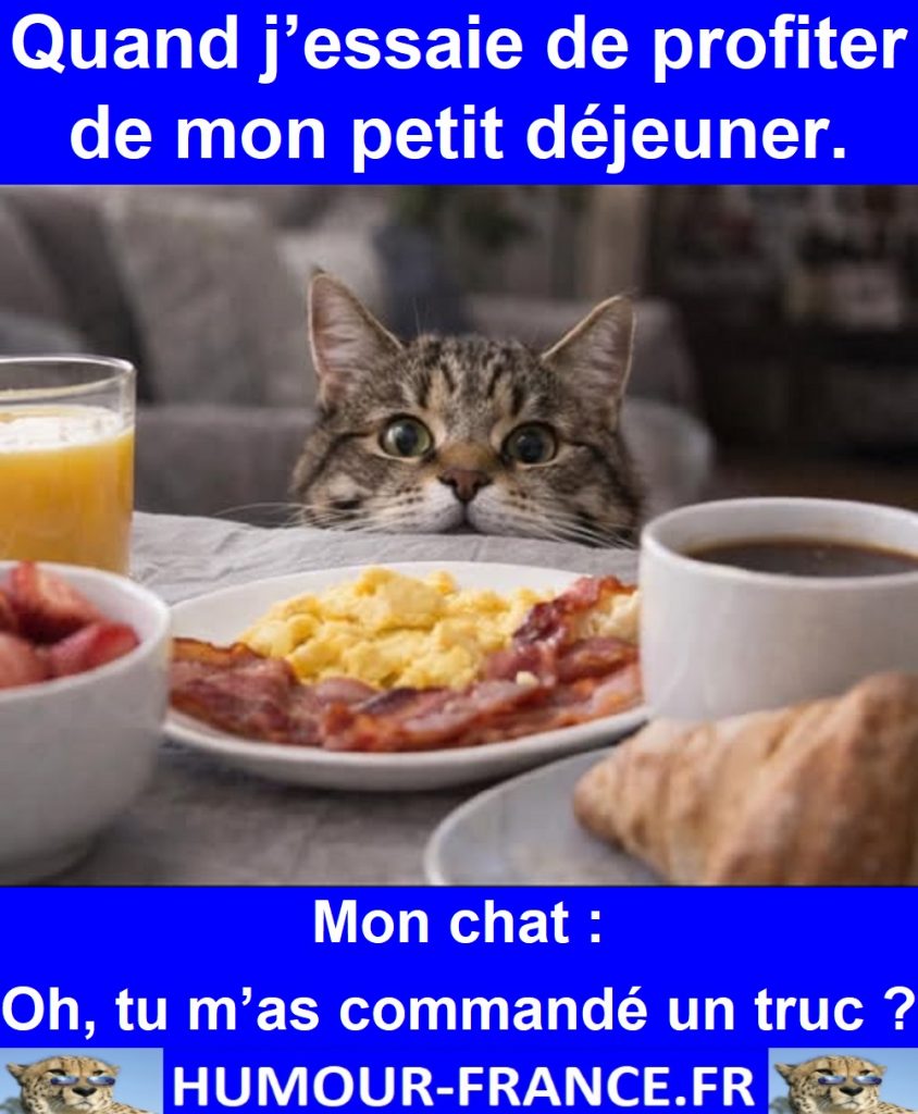 Quand j’essaie de profiter de mon petit déjeuner.