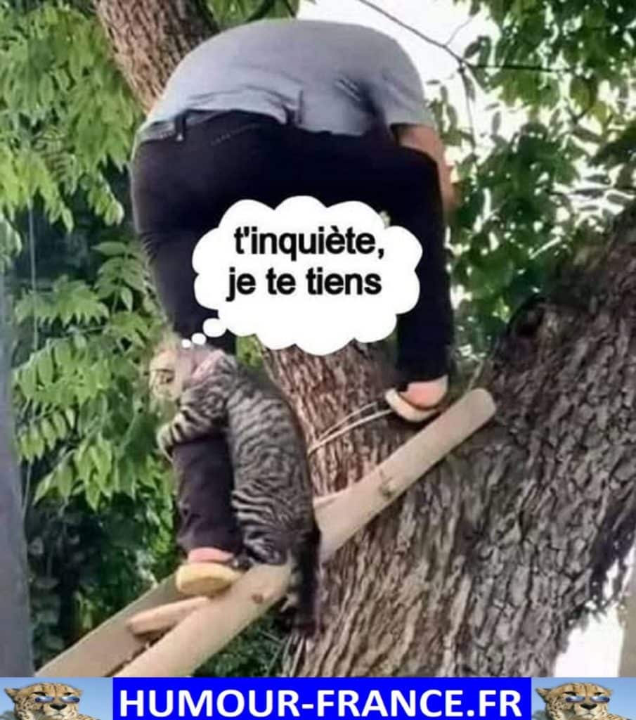 T’inquiète, je te tiens.