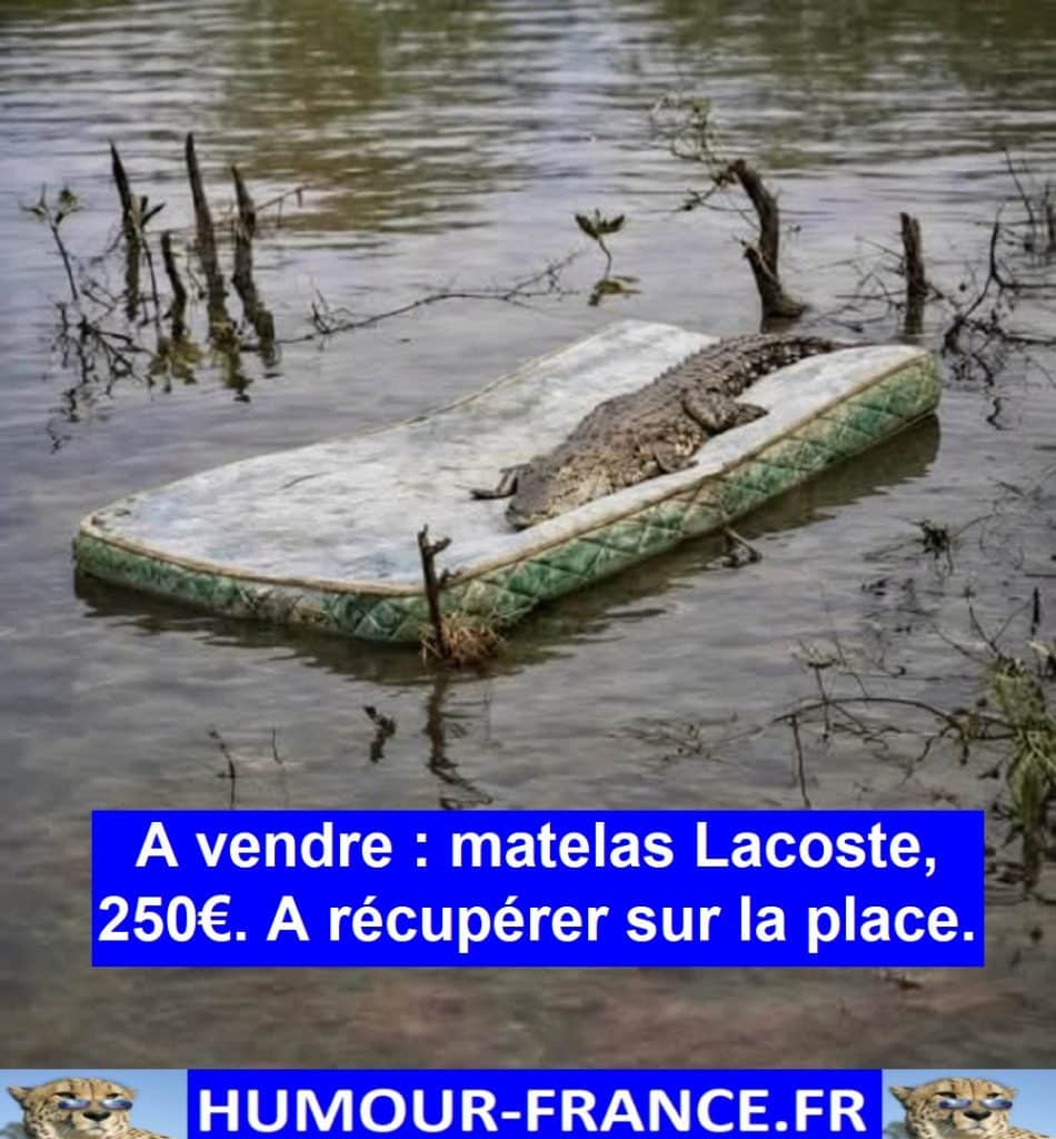 A vendre : matelas Lacoste, 250€. A récupérer sur la place.