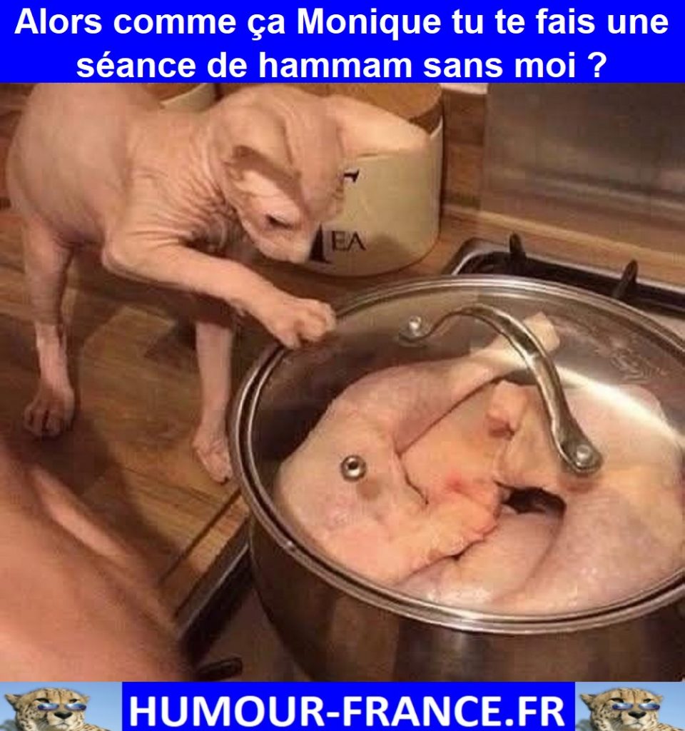 Alors comme ça Monique tu te fais une séance de hammam sans moi ?