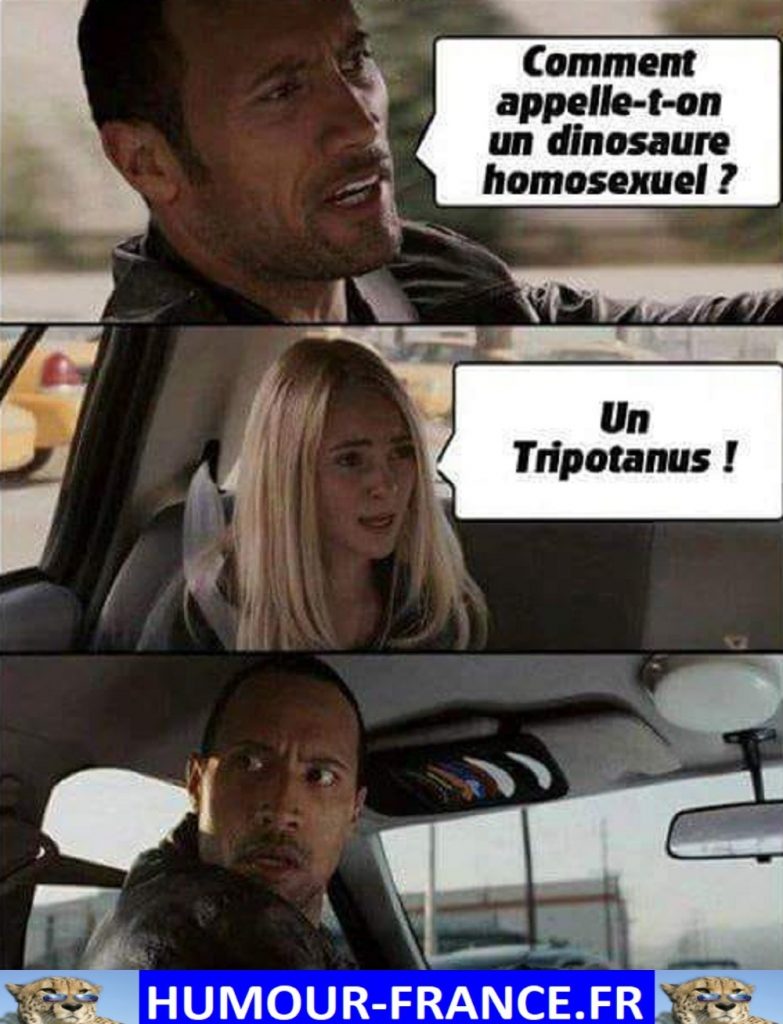 Comment appelle-t-on un dinosaure homosexuel ?