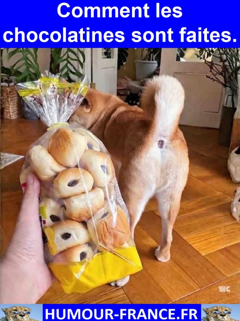Comment les chocolatines sont faites.