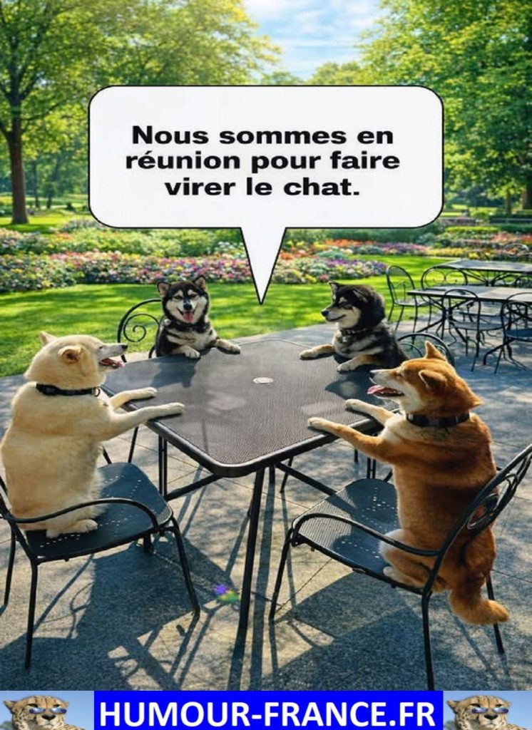 Nous sommes en réunion pour faire virer le chat.