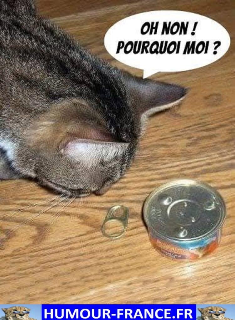 Oh non ! Pourquoi moi ?