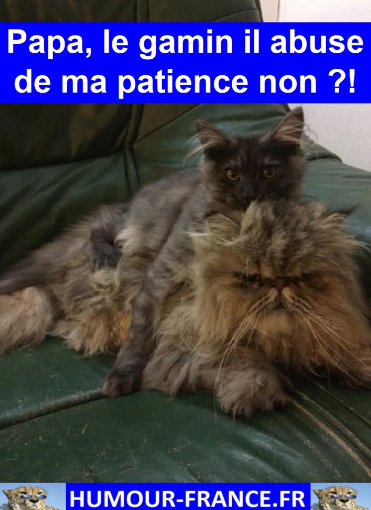 Papa, le gamin il abuse de ma patience non !