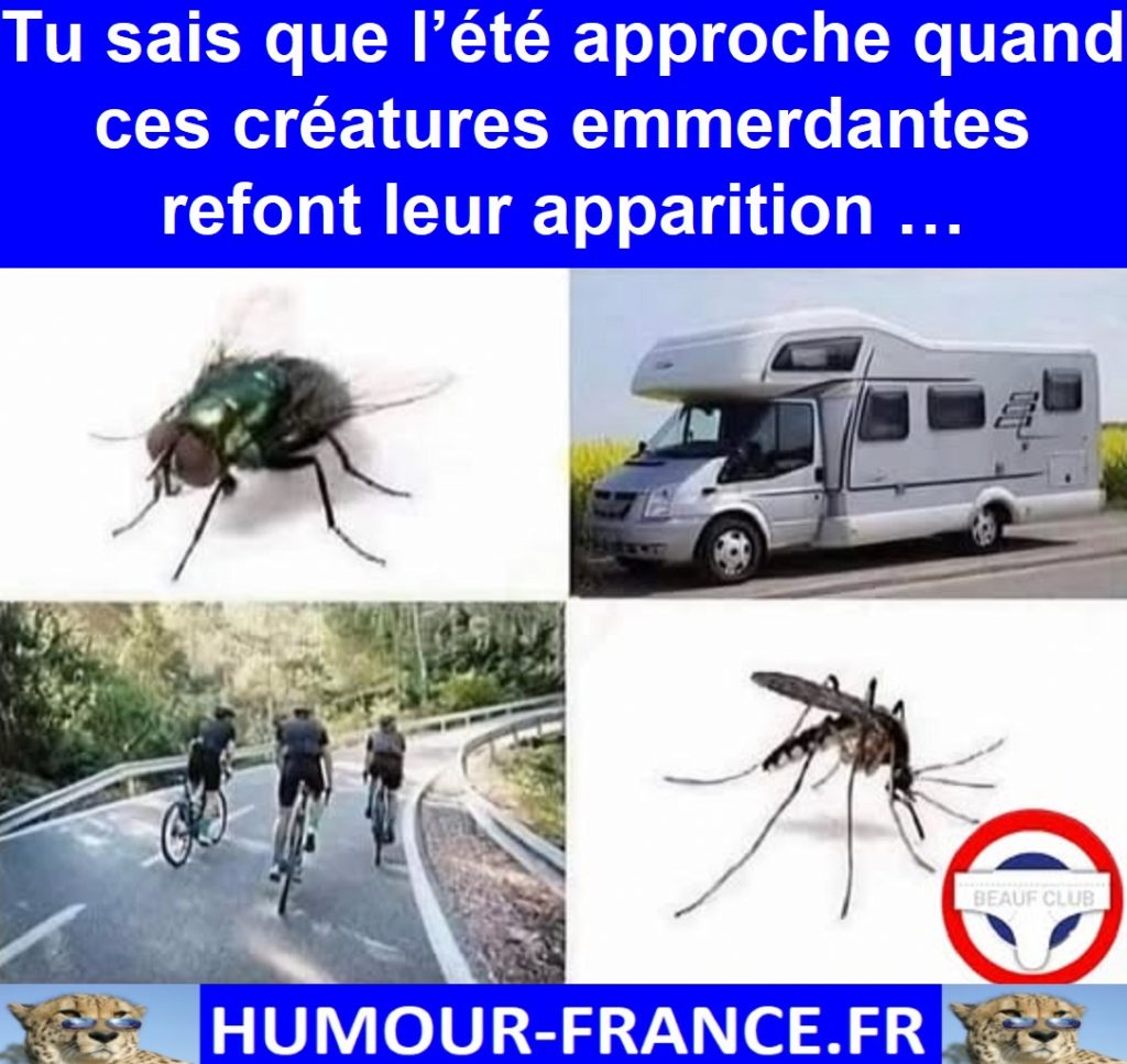 Tu sais que l’été approche quand ces créatures emmerdantes refont leur apparition …