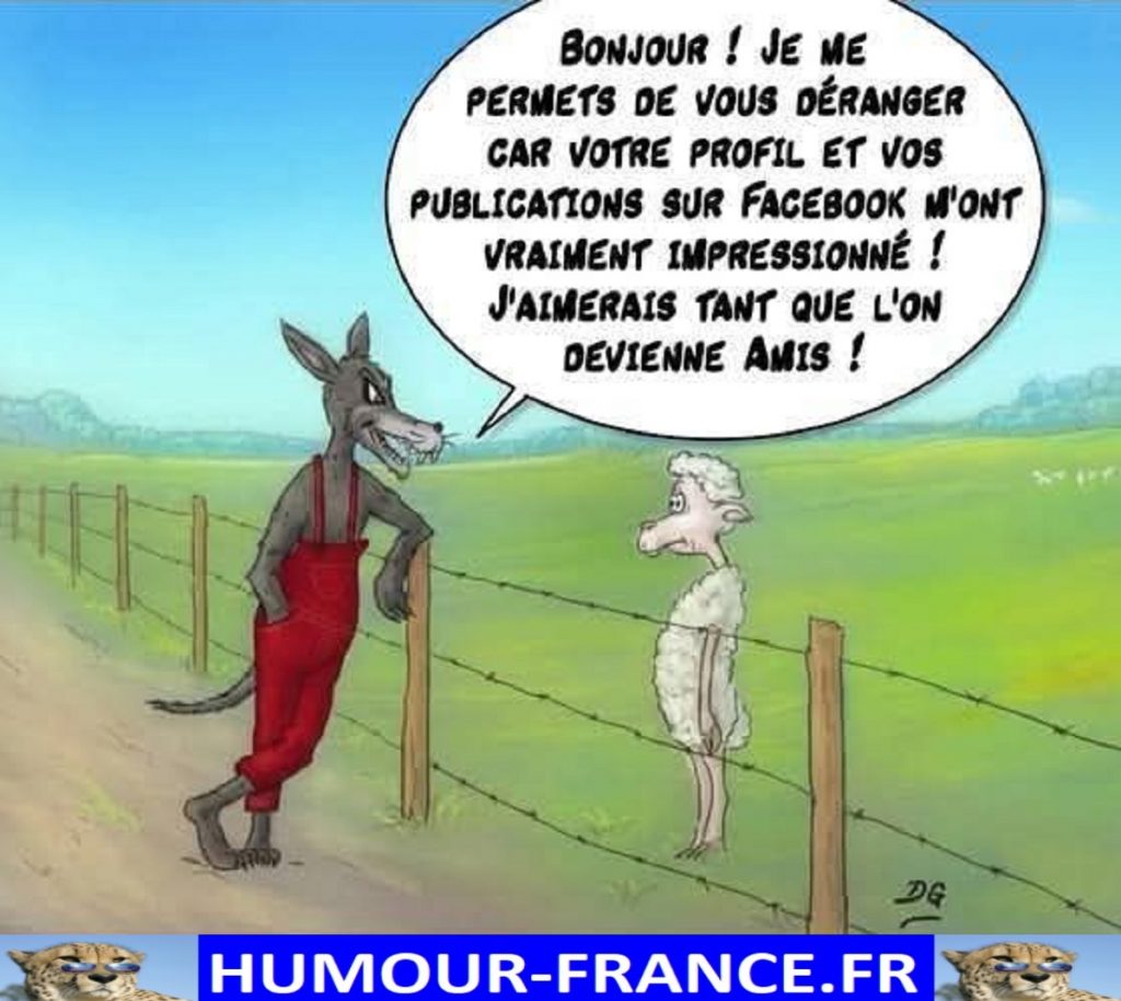 Bonjour ! Je me permets de vous déranger car votre profil et vos publications sur Facebook m’ont vraiment impressionné ! J’aimerais tant que l’on devienne amis !