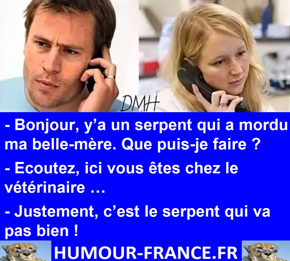 Bonjour, y’a un serpent qui a mordu ma belle-mère. Que puis-je faire ?