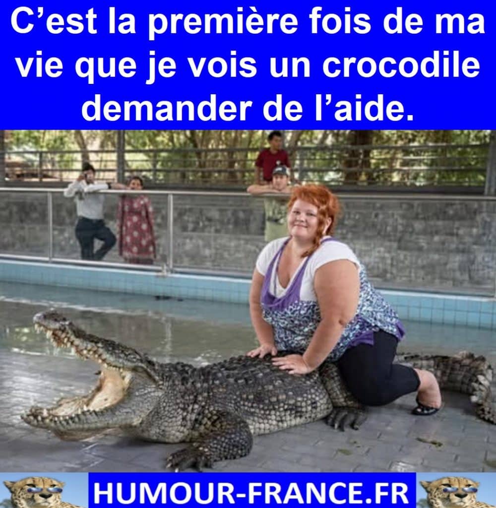 C’est la première fois de ma vie que je vois un crocodile demander de l’aide.