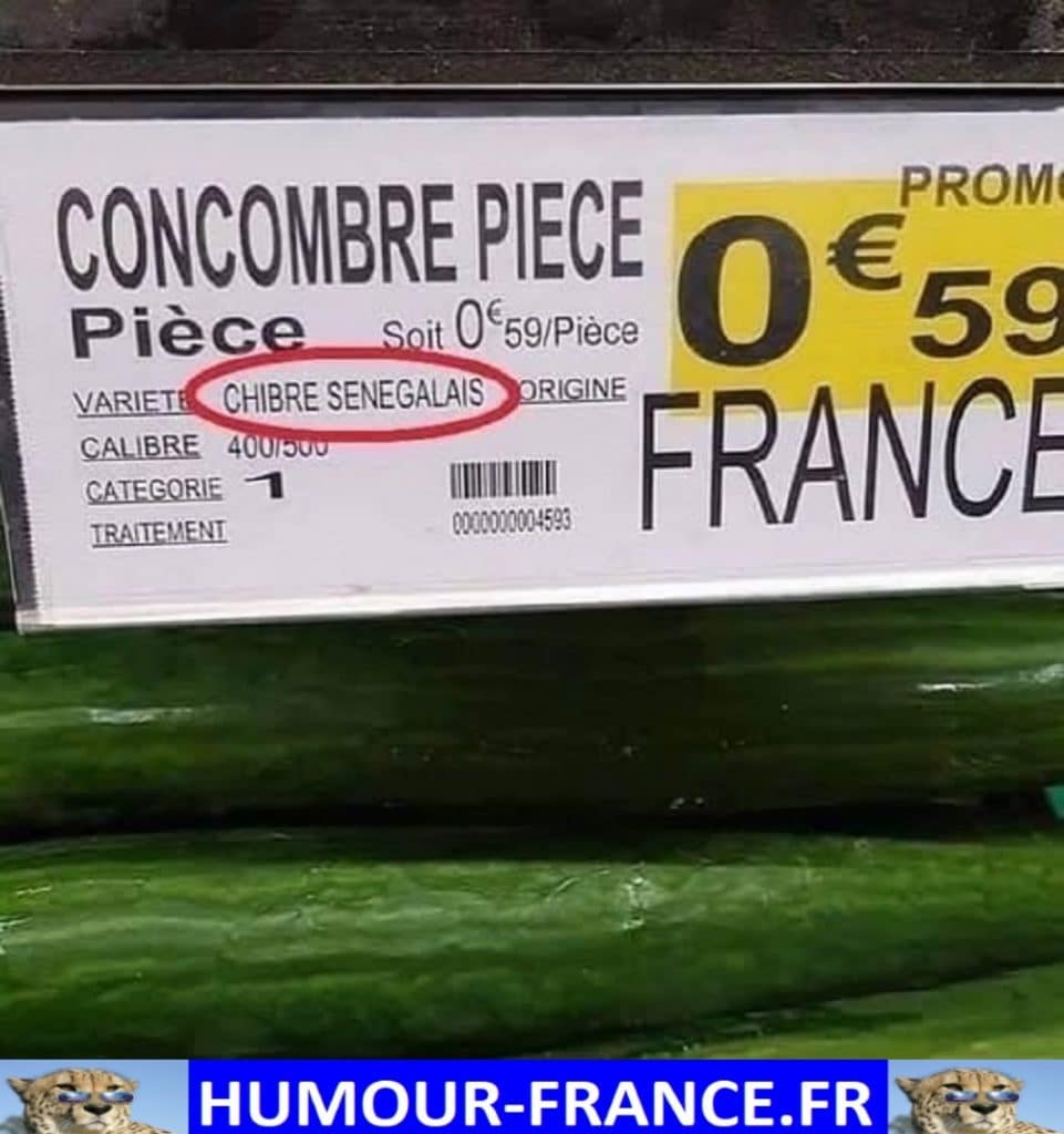 Concombre.