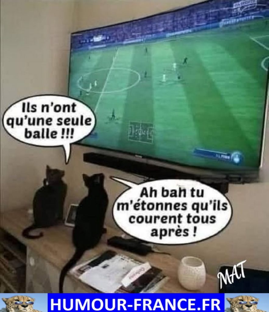 Ils n’ont qu’une seule balle !!!