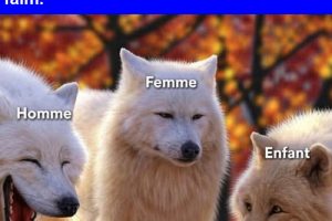 Je veux donner mes vêtements aux personnes qui ont faim.