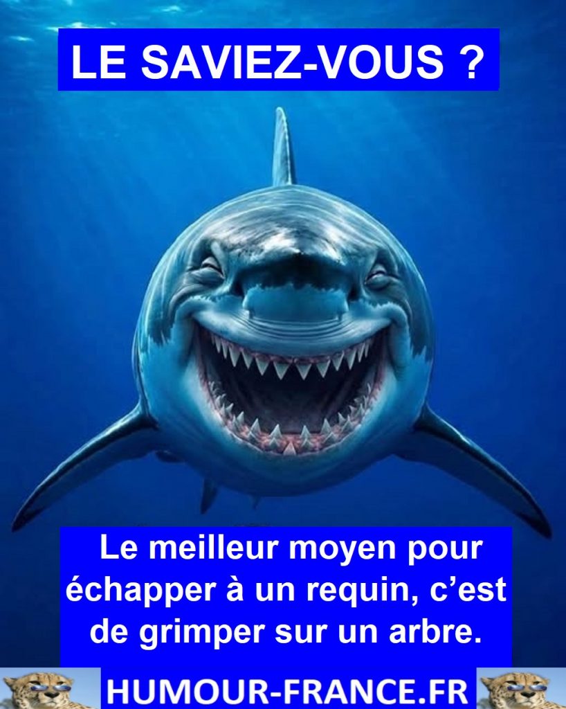 Le meilleur moyen pour échapper à un requin, c’est de grimper sur un arbre.