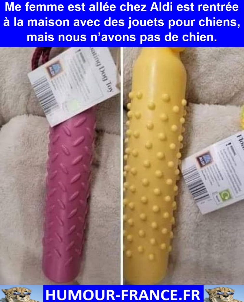 Me femme est allée chez Aldi est rentrée à la maison avec des jouets pour chiens, mais nous n’avons pas de chien.
