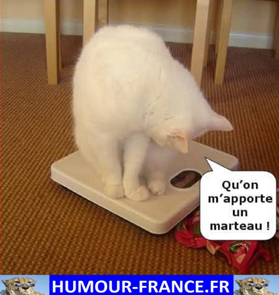 Qu’on m’apporte un marteau !