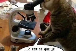 C’est ce que je pensais, tu as bien le gène de la connerie …