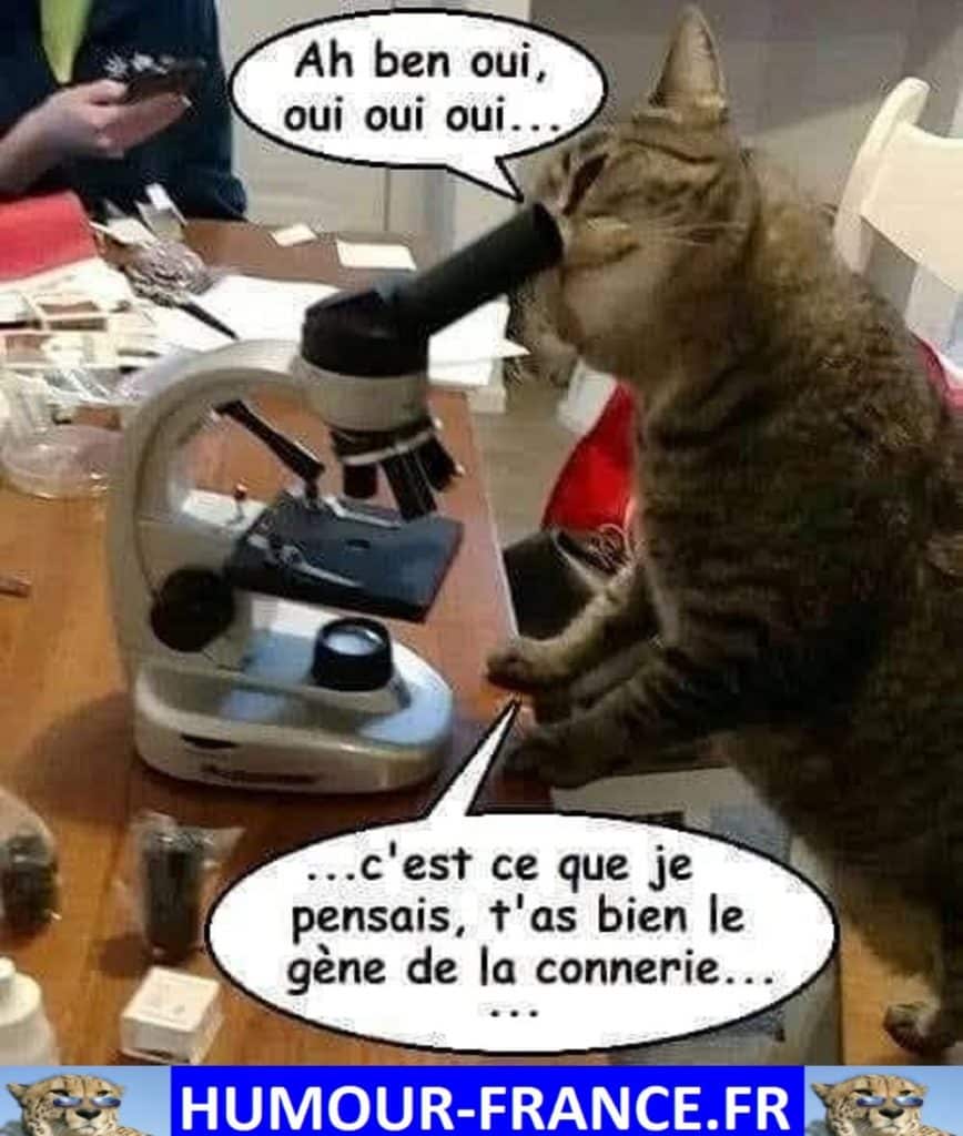 C’est ce que je pensais, tu as bien le gène de la connerie …