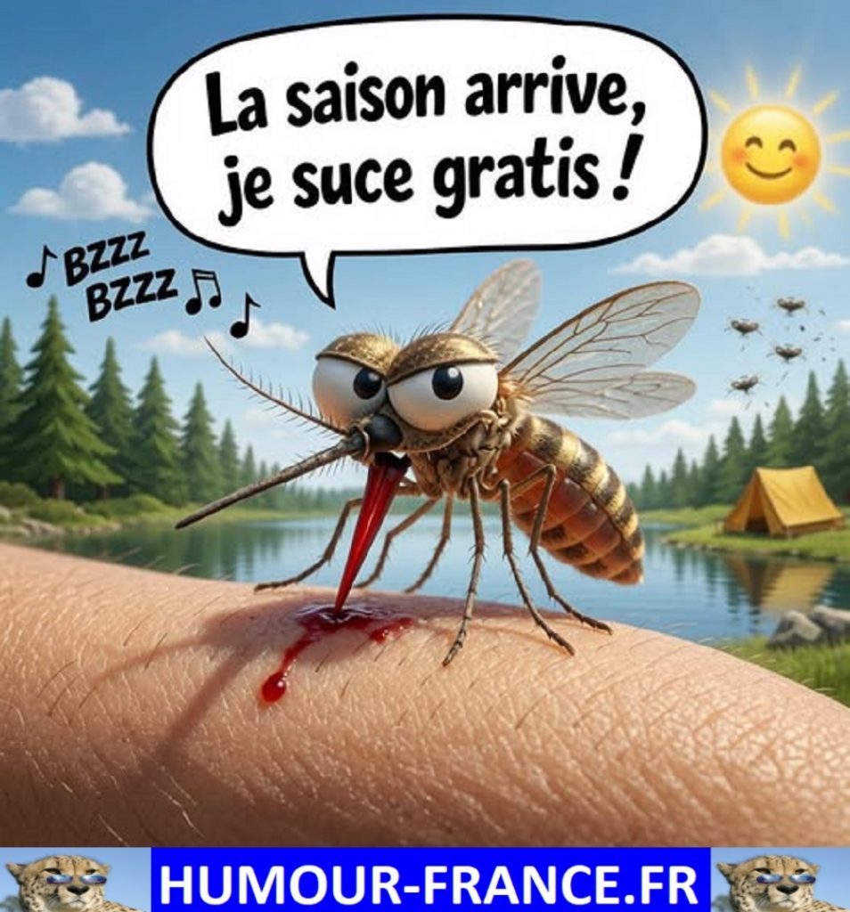 La saison arrive je suce gratis !